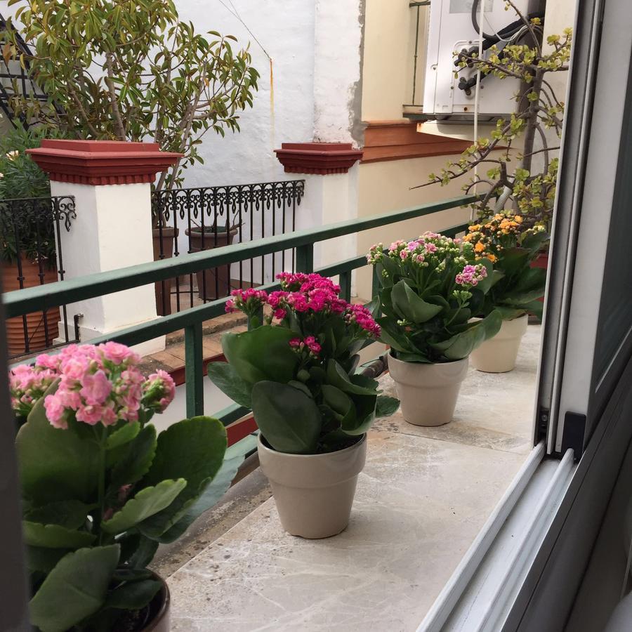 Appartement Apartamento Plaza Salvador